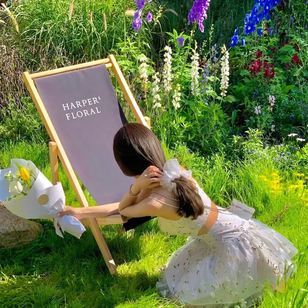 模糊乐队：直到尽头