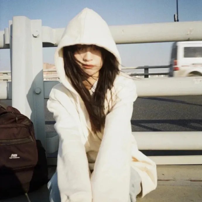 哥斯拉2：怪兽之王